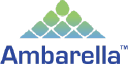 Ambarella Inc