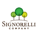 The Signorelli ...