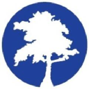 Blue Cypress Consulting, LLC