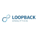 Loopback Analytics