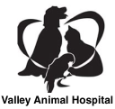 Valley Animal Hospital