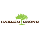 Harlem Grown